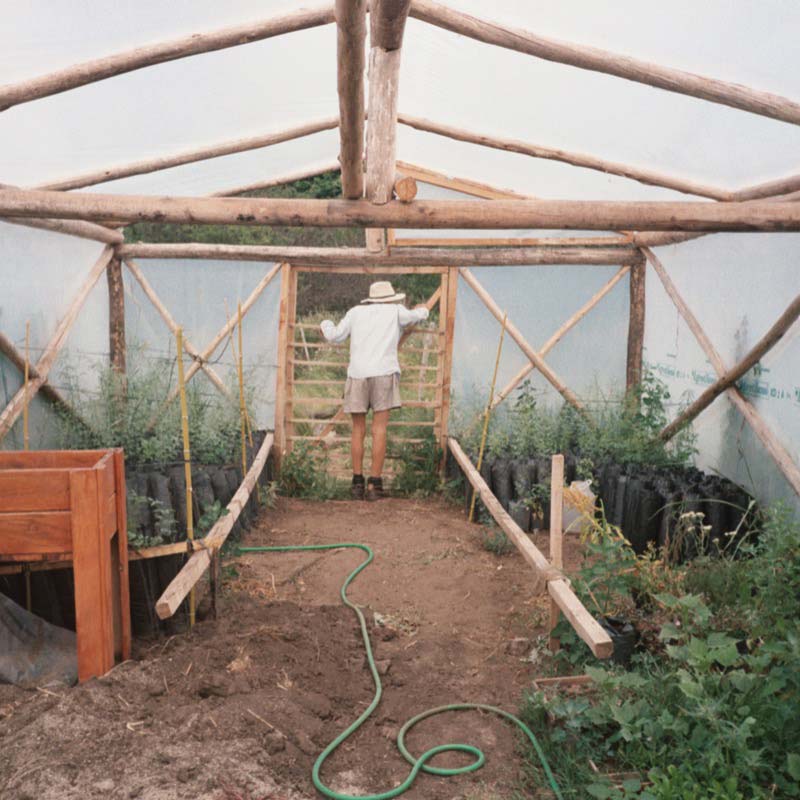 La Rosa Botánicos Mayoristas